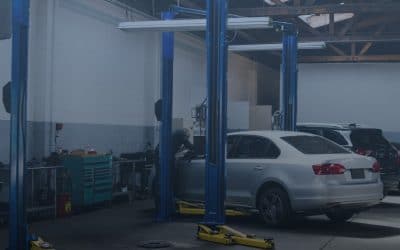 Maximizing Fuel Efficiency: How Drive Belts Play a Crucial Role in Your Vehicle's Economy